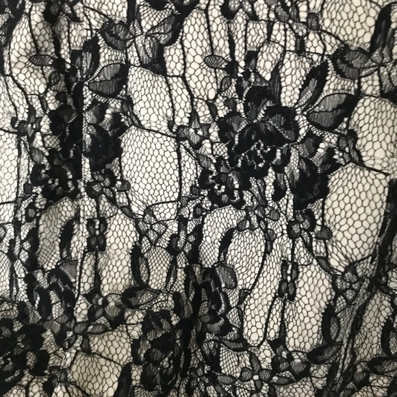 Elegant Sexy Cute Lace Dress. - Picture 4 of 5